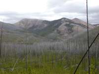 Landers Fork Country