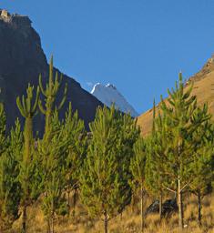 Huaraz LChurup