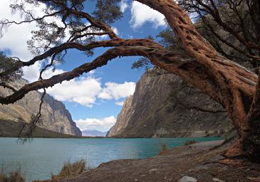 Huaraz LkLlanganuco