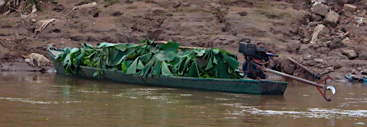 Tambopata Banana Boat P9280670