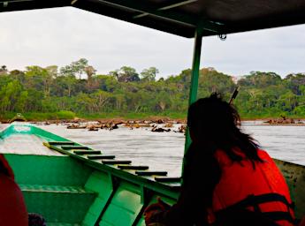 Tambopata Logs