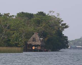 Palapa