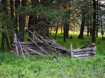 Old Cabin
