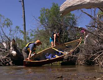 Log Jam
