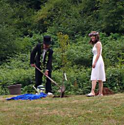 Tree Planting