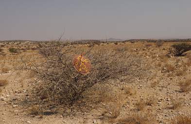 Brandberg Mtn Gem Stones Sign