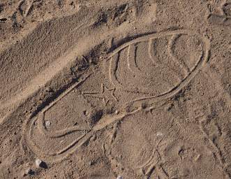 Ponhofi Footprint Dog Thief