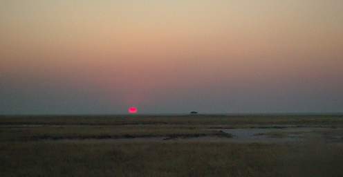 WT Etosha Sunset