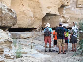 School Section Canyon Strange Animal Sound 6550