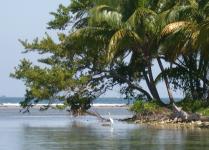 NE Sapodilla Cay