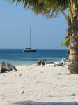 Malakii from SW Cay, Glovers