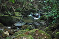 Creek
