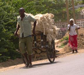 NEMts Hand Cart
