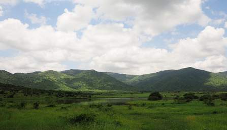 Mkomazi