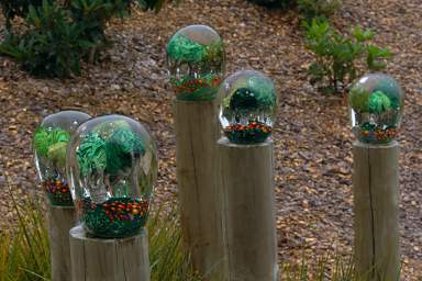 Taupo Lava Glass