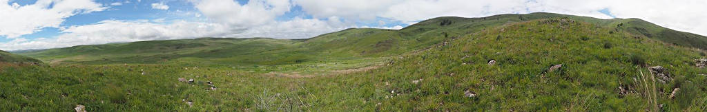 Kitulo