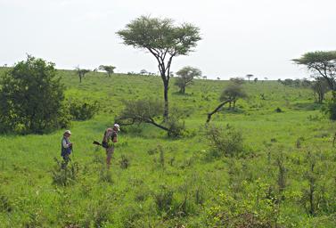 Walk Safari Dona Joshua