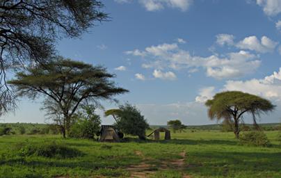 Walk Safari Camp3