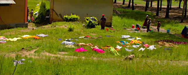 Mambo View Pt Clothes Drying
