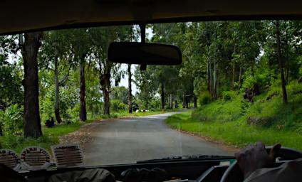 Mambo View Pt Road