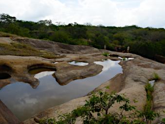Mkomazi Lunch Creek
