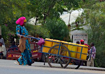 Mkomazi Same Cart