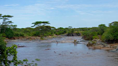 Seronera Hippo Pool