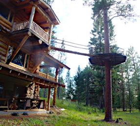 TreePlatform_0042_20190812